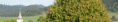 /album/cicmany/logo5-gif1/