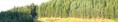 /album/cicmany/logo7-jpg2/